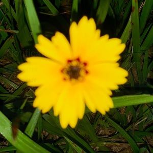 Meet your Posher, Breanna